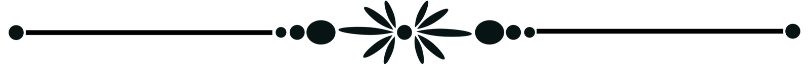 divider